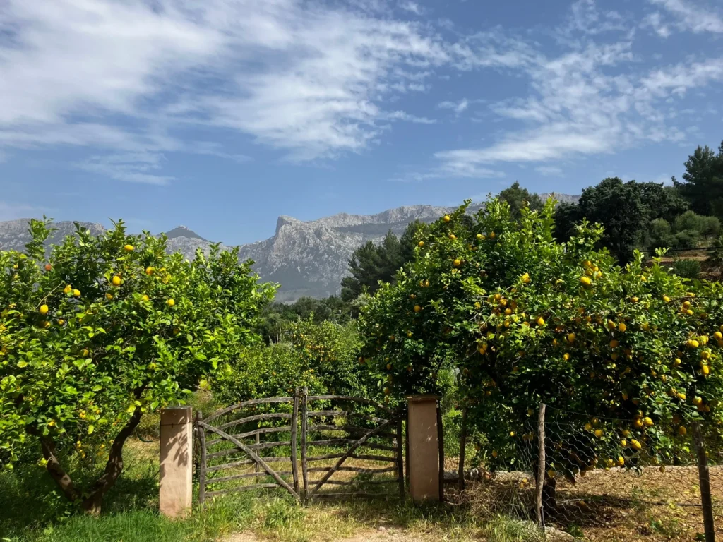 trek GR221